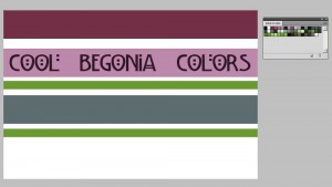 BegoniasCoolColors