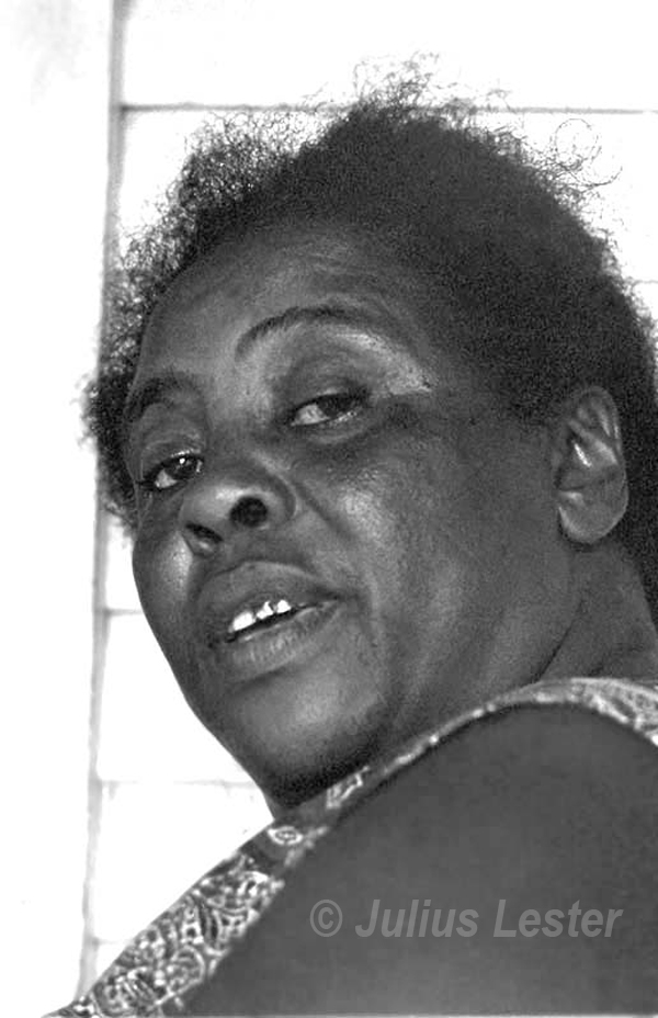 Fannie Lou Hamer by Julius Lester